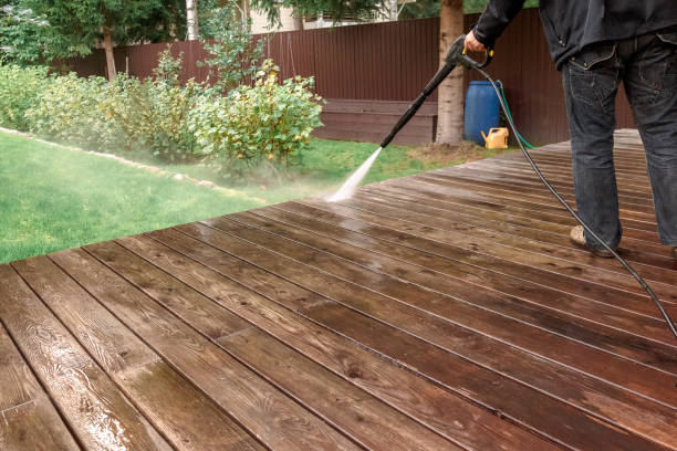 Best Gutter Cleaning  in Argentine, MI