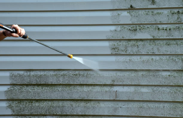 Best Roof Washing  in Argentine, MI