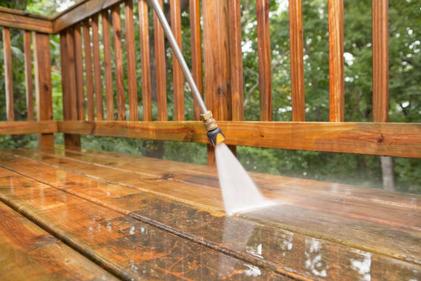 Best Pool Deck Cleaning  in Argentine, MI